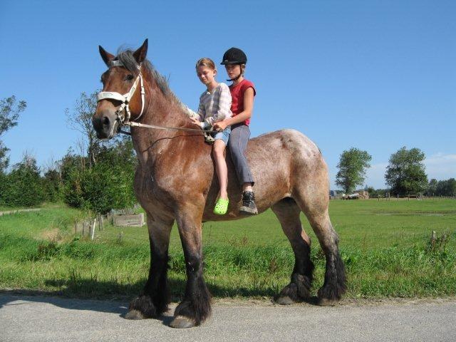 Kind op de pony