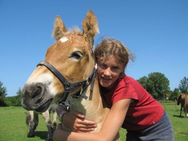 Pony knuffelen
